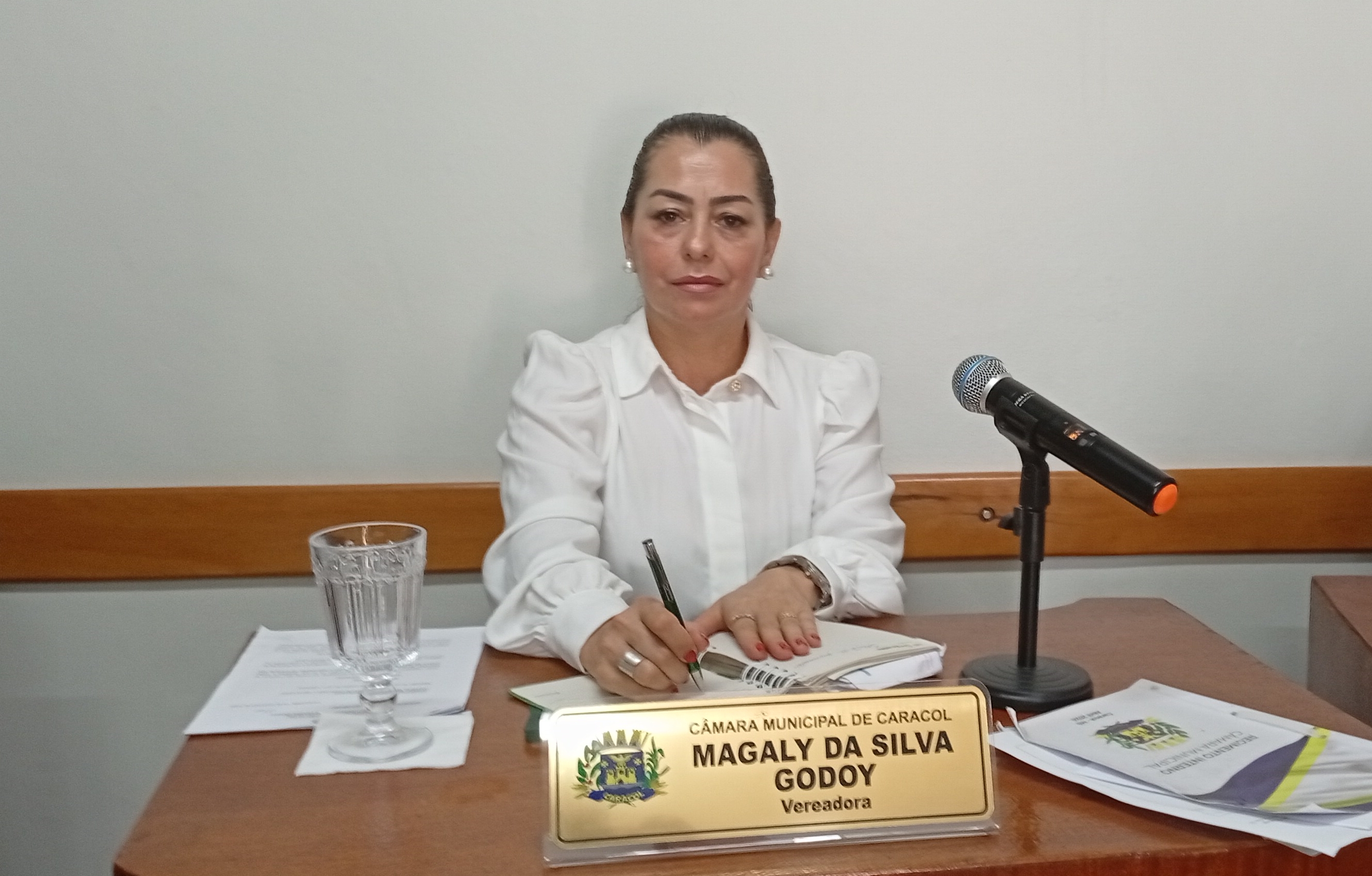 Vereadora Magaly Godoy destaca união entre Legislativo e Executivo em viagem à Brasília e elogia o "Natal de Luzes" de Caracol