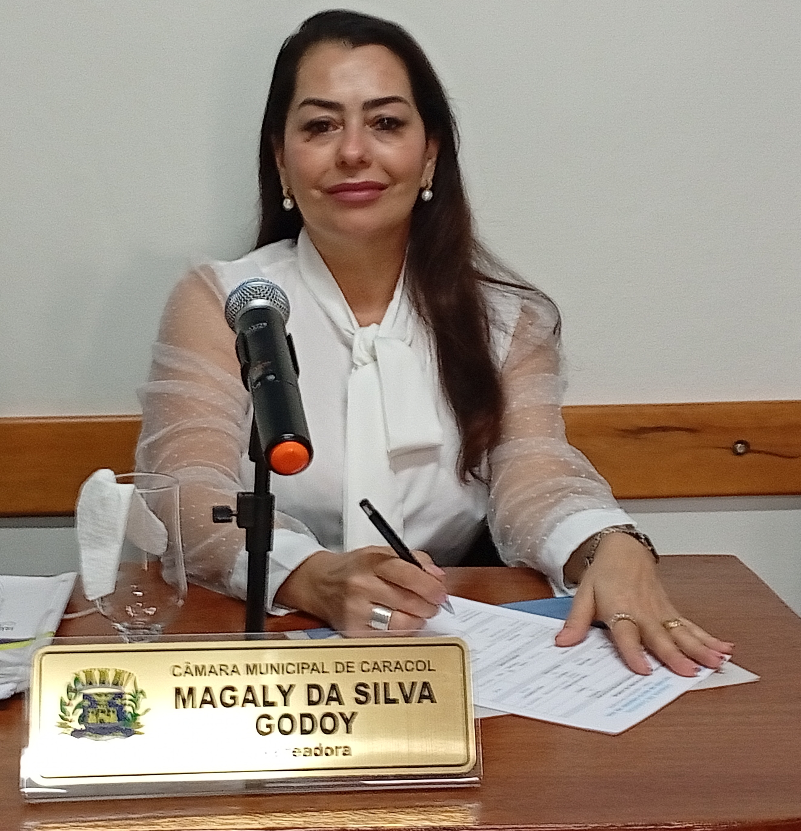 Magaly Godoy apresenta Moção de Parabenização a Lúcio Godoy por vitória em prévias partidárias no Paraguai
